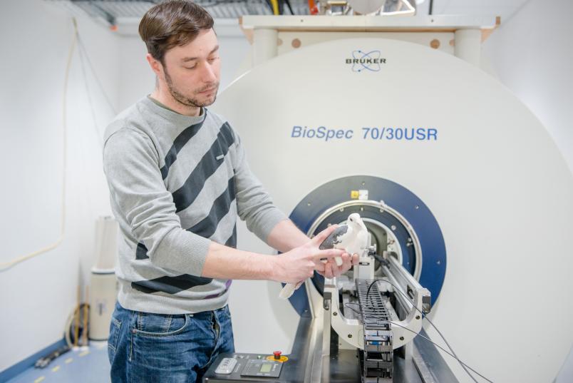 Dadam bilan jinsiy aloqa, guruh jinsiy aloqa, dostlar